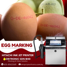 Oritronic Banner-Egg Marking (285x285) sep 2023